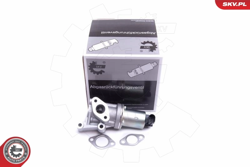 EGR Valve